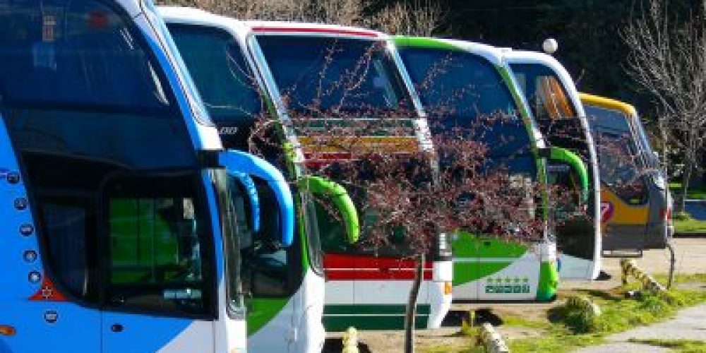 Bus and Coach Directory Australia returns